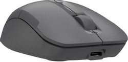 Мышь беспроводная A4TECH Fstyler FG15C Air2, USB, серый