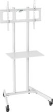 Изображение товара Стойка для телевизора Cactus CS-ST04 37-70 дюймов мобильная напольная белая
