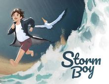 Изображение товара Игра BLOWFISH STUDIOS Storm Boy для ПК в цифровом формате