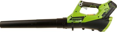 Воздуходувка GREENWORKS G40ABK4, зеленый [2400807ub] – купить в ...