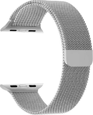 Ремешок LYAMBDA DS-APM02/2-44-SL для Apple Watch Series 3/4/5/6/SE/7/8, серый