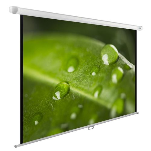 Экран Cactus WallExpert CS-PSWE-200x150-WT, 200х150 см, 4:3, настенно-потолочный
