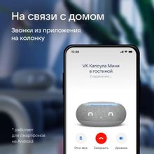 Умная колонка VK Капсула Мини 5Вт, с Марусей, светло-серый