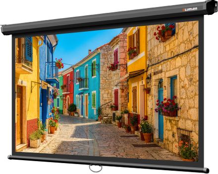 Экран Lumien Eco Picture LEP-100129, 192х137 см, 16:9, настенно-потолочный черный