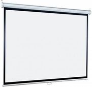 Экран Lumien Eco Picture LEP-100117