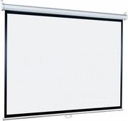 Экран Lumien Eco Picture LEP-100112