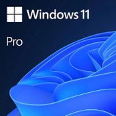 Операционная система Microsoft Windows 11 Pro, 64 bit, Eng, DVD, OEM