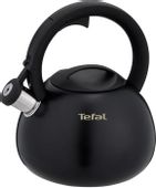 Металлический чайник Tefal N4180417, 2.5л