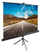 Экран Cactus TriExpert CS-PSTE-160x160-BK черный