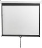 Экран DIGIS Optimal-D DSOD-4306