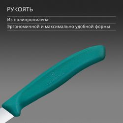 Нож кухонный Victorinox Swiss Classic, универсальный, для чистки овощей и фруктов, 80мм, заточка прямая, стальной, зеленый