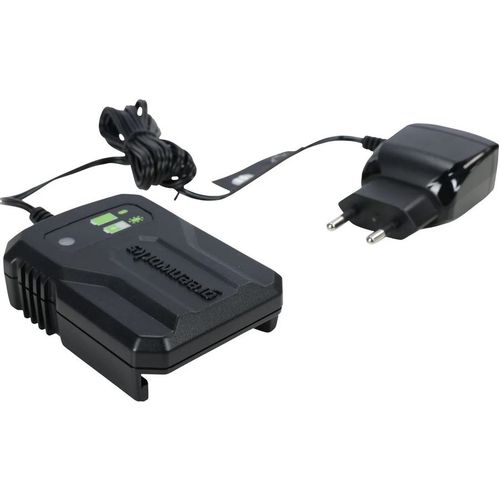 Зарядное устройство GREENWORKS G24UC2 2946207