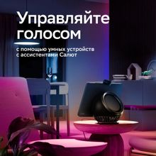 Удлинитель умных светодиодных лент SBER SBDV-00038