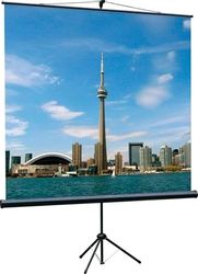 Экран Lumien Eco View LEV-100116 черный