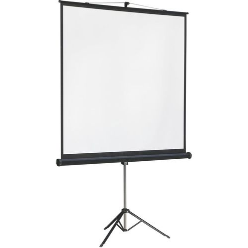 Экран Lumien Master View LMV-100105, 244х244 см, 1:1, напольный
