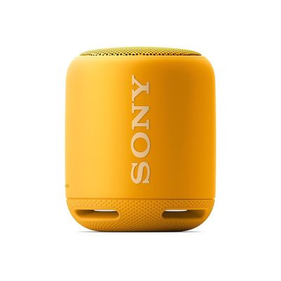 Колонка портативная Sony SRS-XB10, 5Вт, желтый [srsxb10y.ru2] – купить ...