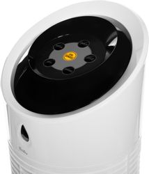 Вентилятор напольный Ballu Eifel BCOOL-05L EF