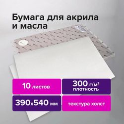 Бумага BRAUBERG 113269, 10 лист., 300г/м2