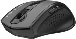 Мышь беспроводная A4TECH Fstyler FG55S Plus, USB, серый