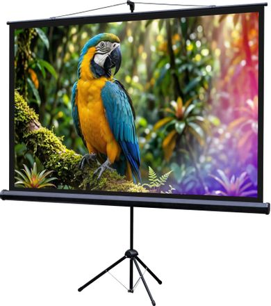 Экран Lumien Eco Picture LEV-100113, 110х192 см, 16:9, напольный черный