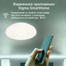 Умный светильник Digma TopLight TL25 потолочный