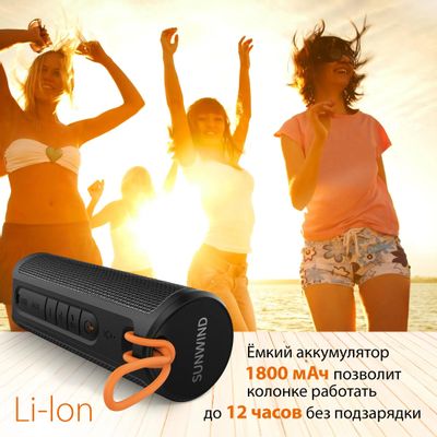 Колонка портативная SunWind SW-PS105 B, 10Вт, черный – купить в ...