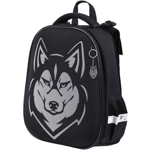 Ранец детский с ортопедической спинкой BRAUBERG Shiny 271383 Husky