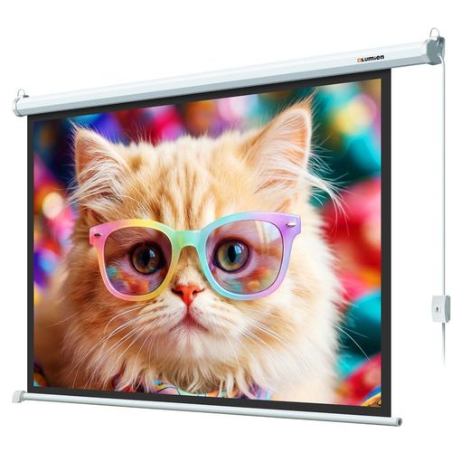 Экран Lumien Eco Control LEC-100119, 227х157 см, 16:9, настенно-потолочный белый — цена и наличие Экран Lumien Eco Control LEC-100119, 227х157 см, 16:9, настенно-потолочный белый