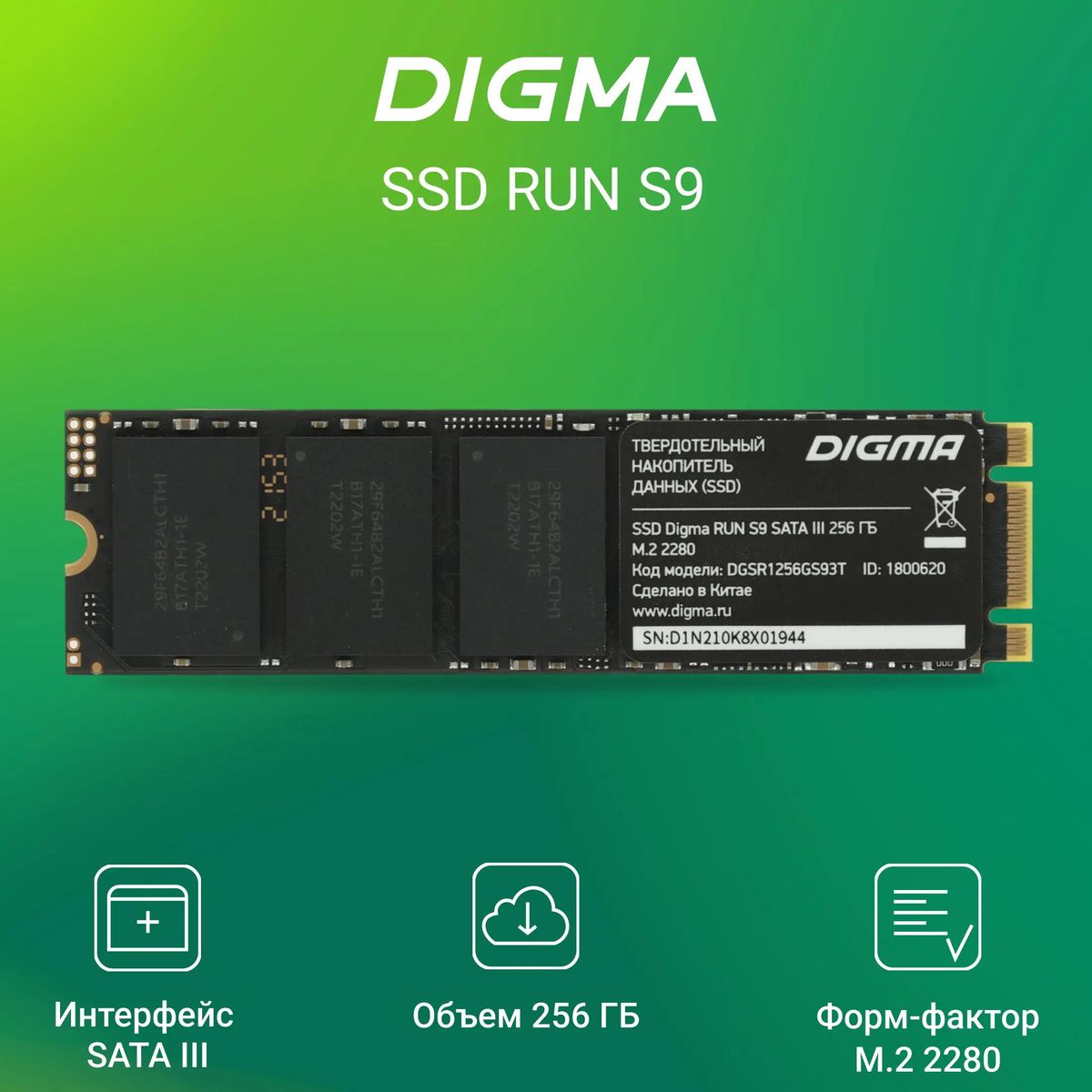 SSD накопитель Digma Run S9 DGSR1256GS93T 256ГБ