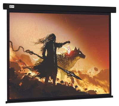 Обзор товара экран Cactus Wallscreen CS-PSW-149X265-BK, 265.7х149.4 см ...