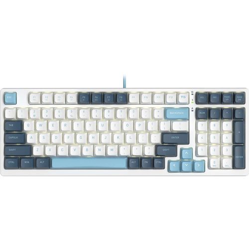 Клавиатура A4TECH Fstyler FS300, проводная, USB, механическая, белый/синий [fs300 panda snowboarding]