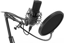 Микрофон Ritmix RDM-169,  черный