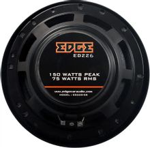 Динамики Ежи 16