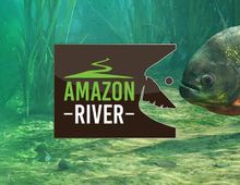 Изображение товара Дополнение к игре ULTIMATE GAMES Ultimate Fishing Simulator Amazon River для ПК