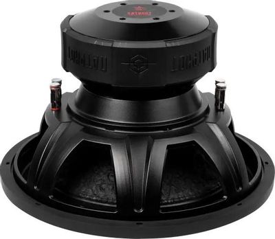P audio speaker 15 inch 800 watt price shop