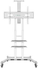 Изображение товара Подставка для телевизора ONKRON TS1881 50-86 дюймов напольная с регулировкой и колесами
