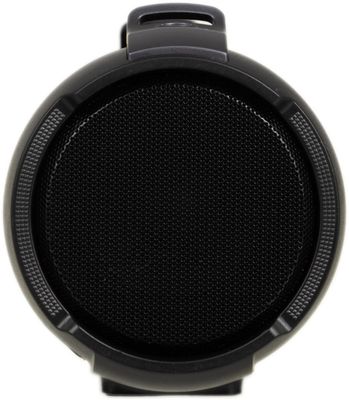 Колонка портативная Telefunken TF-PS1243B, 15Вт, черный [tf-ps1243b ...