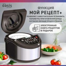 Мультиварка OASIS MC-16E, черный/серебристый