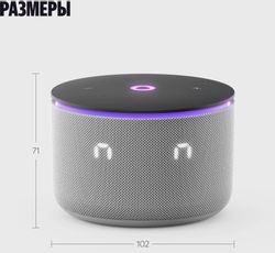 Умная колонка ЯНДЕКС Станция Мини 3 Про, 18Вт, с Алисой, серый Zigbee