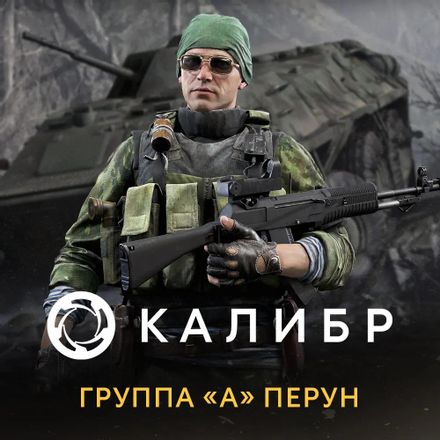 Дополнение к игре 1C GAME STUDIOS Калибр: Группа А Перун, для  ПК,  регион: Россия,  RUS (интерфейс и субтитры)