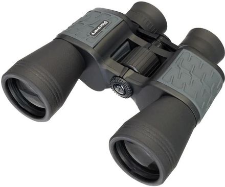 Бинокль DISCOVERY Flint 79583, 10Х 50 мм Porro, черный