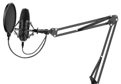 Микрофон SunWind SW-SM400G,  черный [1427268]