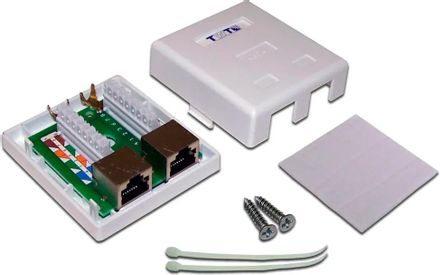 Розетка Lanmaster (TWT-SM2-4545/S6-WH) настен. RJ45 2 кат.6 STP бел. (упак.:1шт)