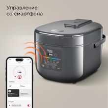 Мультиварка Redmond MC100S,   серый