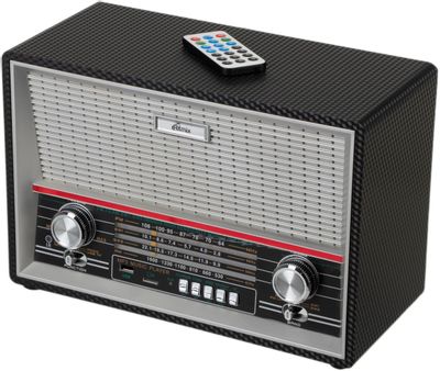 Радиоприемник Ritmix RPR-102, черный – купить в Ситилинк | 1122999