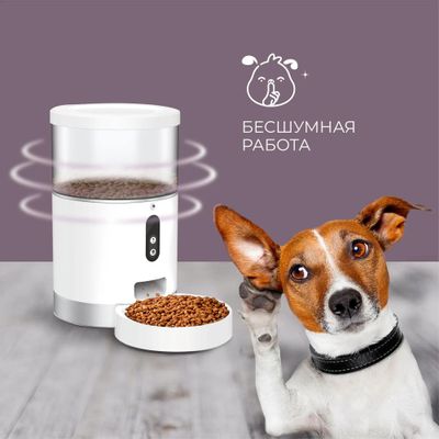 Iot 2025 dog feeder