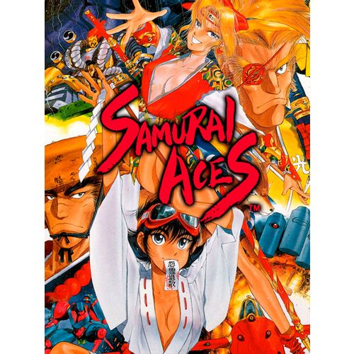 Игра H2 INTERACTIVE Samurai Ace, для ПК, регион: Россия, Весь мир, английская версия
