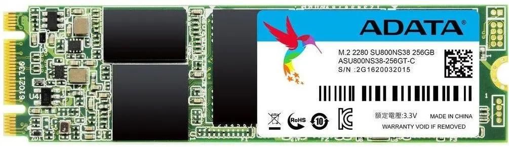 Adata su800ns38 new arrivals