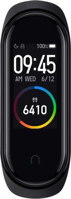 Xiaomi Band 4 NFC MGW4059RU 0.95