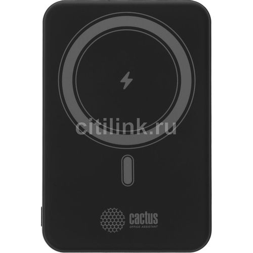 Внешний аккумулятор (Power Bank) Cactus CS-PBFSUA-10000, 10000мAч, черный